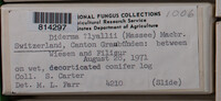Image Associated With the Occurence